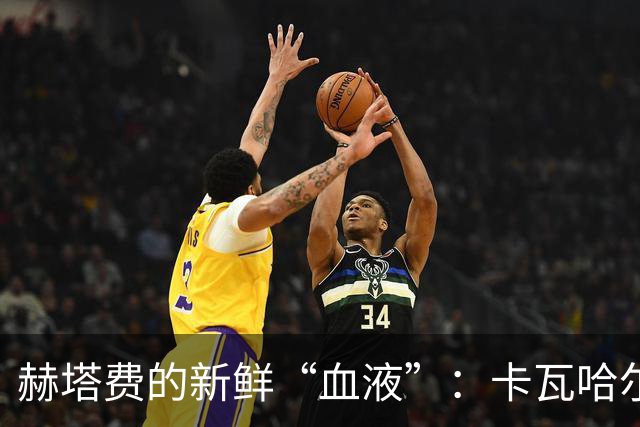 赫塔费的新鲜“血液”：卡瓦哈尔喜获新身份！